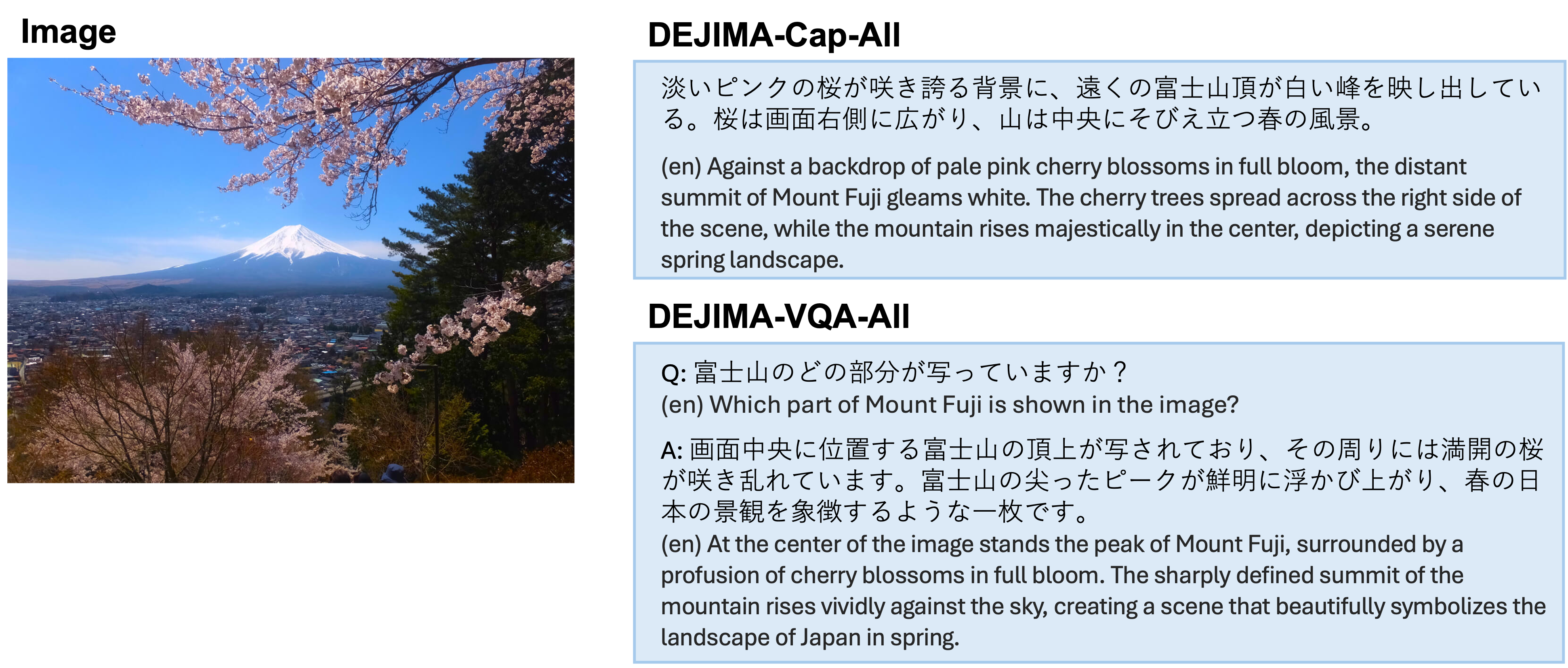DEJIMA dataset example images.